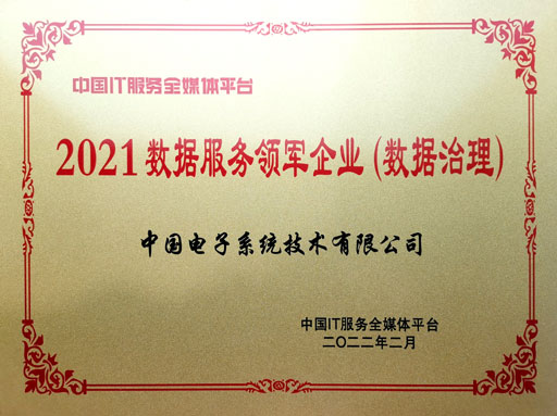 2021數據服務(wù)領軍企業（數據治理(lǐ)）-中(zhōng)國(guó)系統